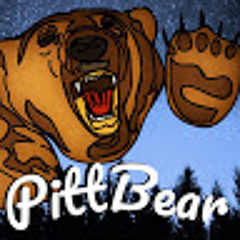 Pitt Bear