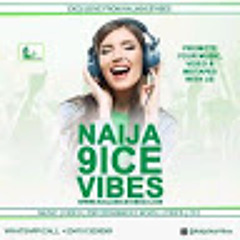 Naija9icevibes.com