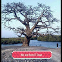 Cassava Foundations