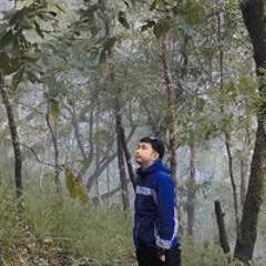 Tor Sarawut