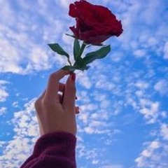 Abrar Hesham