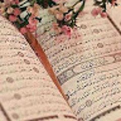 User 543643009
