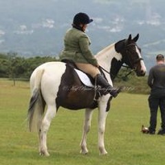 Midge1789