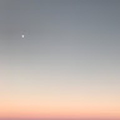xb
