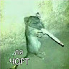 Кемпел