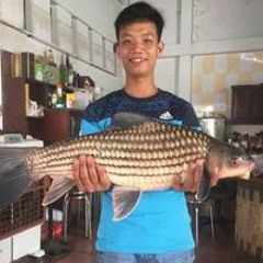Minh Quan