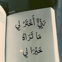هايدي محسن