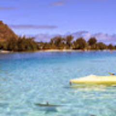 Егор Белавин