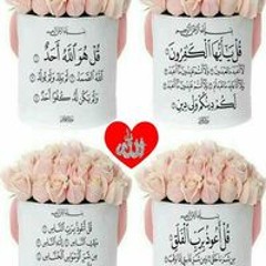 Umar Shahid