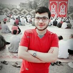 محمد الخولي
