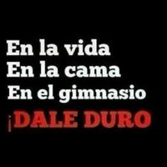 gym lo mejor