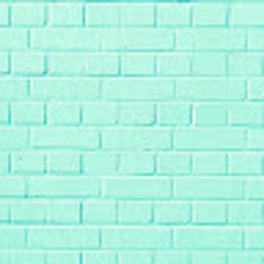 Ana Livia Almeida Santos