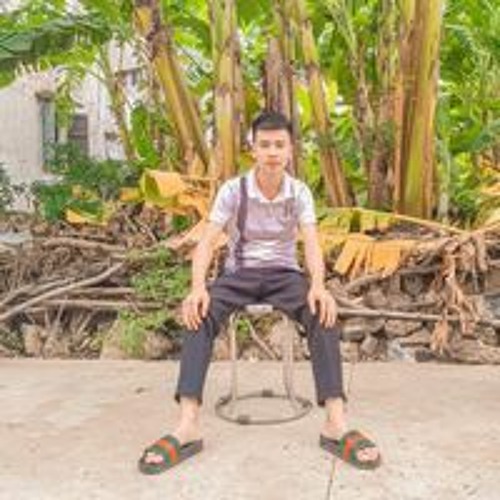 Hồ Quang Trang’s avatar