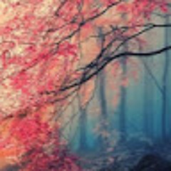 ندي احمد ربيع