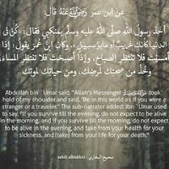Chahla