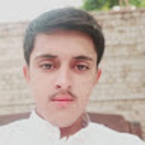 Arz muhammad’s avatar