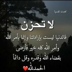 سيد محمد