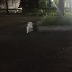 찬돌