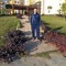 hesham