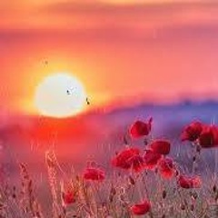 Miriam Débora Marzetti