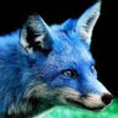 wolfalpha123