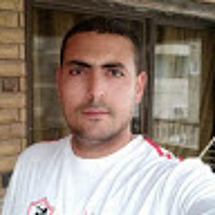 Mohamed Lashen