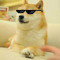 Doge LP