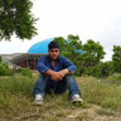 hamed hosseini