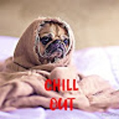 Chill Times With Pug