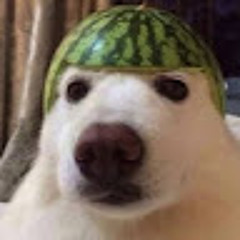 DewFree