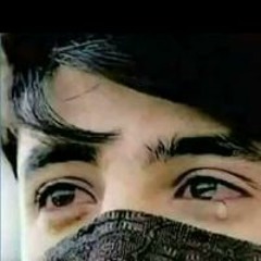 Hanen Amir
