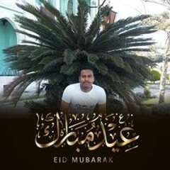 محمد عبدالسيد