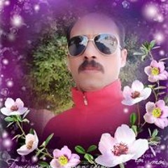 عصام الحلواني
