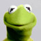 Kermit the frog