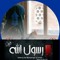 Aia Ashmawy