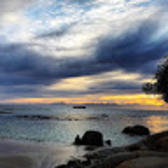 Carmen Yleen Errecalde