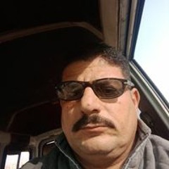 الحوت الابيض