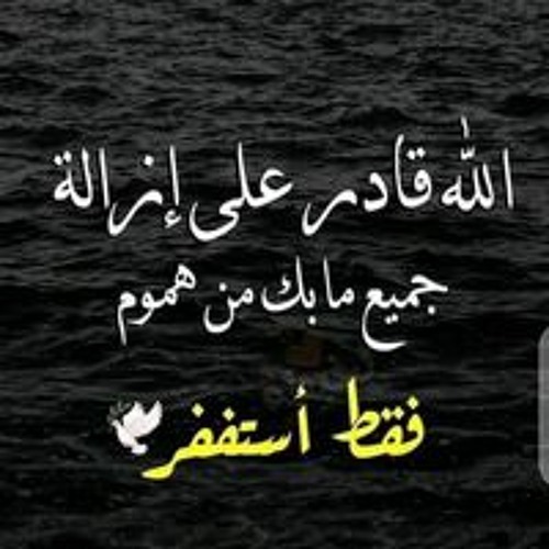 Abd Allaa Elmadah’s avatar