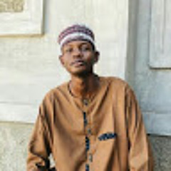 suleman babagana