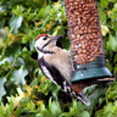 Julie North Yorkshire