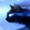 katt 10