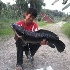 Wong Wong