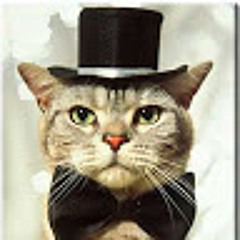 Jenkinsthecat