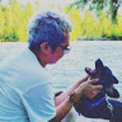 Martín Sotelo