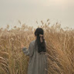 Shadn Alamri