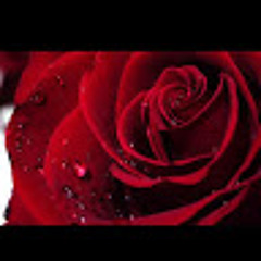 User 853932076
