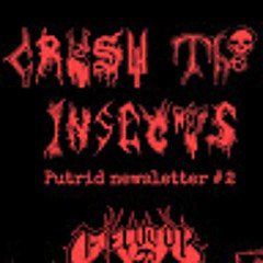 CrushTheInsects