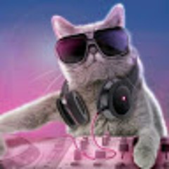 dj majo