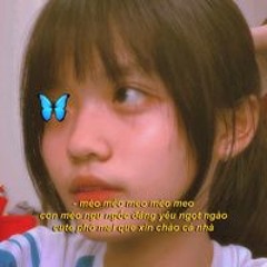 Võ Bảo Nguyên