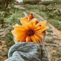 شروق فتحي فوزي محمود